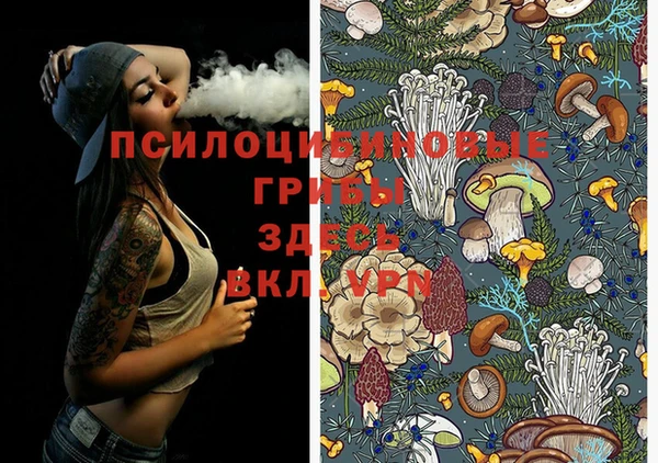 2c-b Алексин
