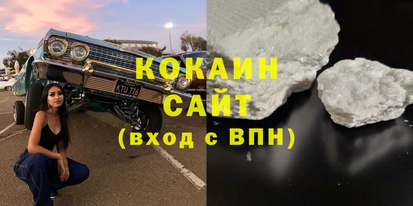 шишки Алзамай
