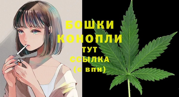 PSILOCYBIN Россошь