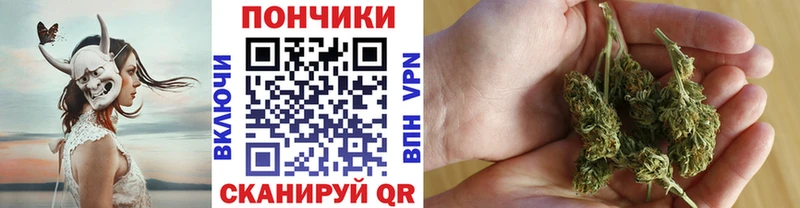 Бошки Шишки планчик  Лахденпохья 